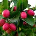 Susan Bruch - Facebook