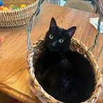 Susan Bruder - @sbruder1 - Instagram