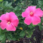 Susan Bruder - @sbruder1961 - Instagram