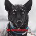 Susan Bruder - Facebook