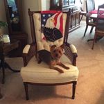 Susan Bruder Edenfield - @edenfield.susan - Instagram