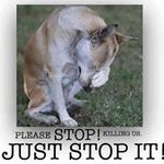 Susan Brummett - @brummett.susan - Instagram