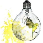 Susan Bruni - @susan_fi_ideas - Instagram