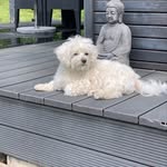 Susanne Brüning - @susanne.bruning - Instagram