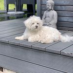 Susanne Brüning - @susanne.bruning - Instagram