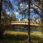 Sue Bumgarner - @susan_bumgarner - Instagram