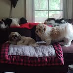 Susan Bunch - Facebook