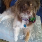 Susan Bunch - Facebook