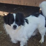 Susan Bunnell - @susan.bunnell51 - Instagram