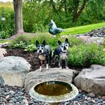 Susan Bunnell - @llennub_nasus - Instagram