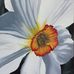 Susan Burr Carlo - Facebook