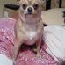 Susan Buss - Facebook