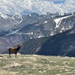 Susan Buss Roth - @susanbussroth - Instagram