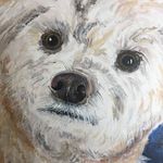 Susan Bussing - @bussingsusan - Instagram