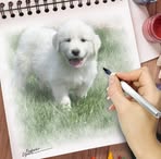 Susan Burkhart - Facebook