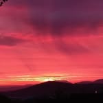 Susan Button - @button4997 - Instagram