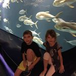 Susan Button Lawing - @susan.b.lawing - Instagram