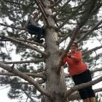 Susan Bybee - @bybeesusanm - Instagram