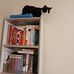 Susan Bybee - Facebook