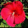 susanbybee285 - @susanbybee285 - TikTok