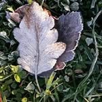 Susan Byron - @mssusanbyron - Instagram