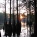 Susan Cail - Facebook