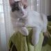 Susan Calder - Facebook