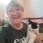 Susan Hill Callihan - @callihanfosters - Instagram