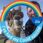 Susan Canham - Facebook