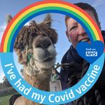 Susan Canham - @scanham - Instagram