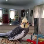 Susan Cantin - @susancantin2 - Instagram