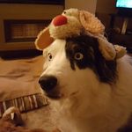 Susan Cape - @susan.cape.7 - Instagram
