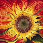Susan Cape Rainmaker - @susanrainmaker - Instagram