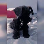 Susan Capetillo - @susan.capetillo.50 - Instagram