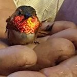 Susan Carlin - @carlin7780 - Instagram