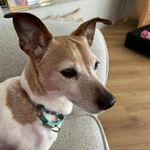 Susan Carlin Bohus - @susanbohus - Instagram