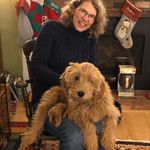 Susan Carollo - @carolsus000 - Instagram