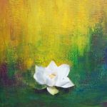 Susan Carollo - @morningsun321 - Instagram