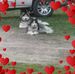 Susan Carper - Facebook