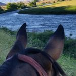 Susan Carper Clason - @carperclason - Instagram