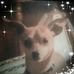 Susan Casas - Facebook