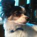 Susan Castner - Facebook