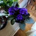 Susan Castner - Facebook