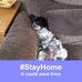 Susan Cattell - Facebook