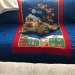 Susan Caudill - @msusancaudill - Instagram