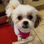 Susan Caudill - @mrshdwideglider - Instagram