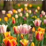 Susan Caudill Dye - @shepherdgirl3 - Instagram
