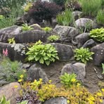 Susan Cayer - Facebook