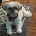 Susan Elberfield Centers - Facebook