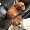 Susan Chadwick - @susanchadwick222 - TikTok